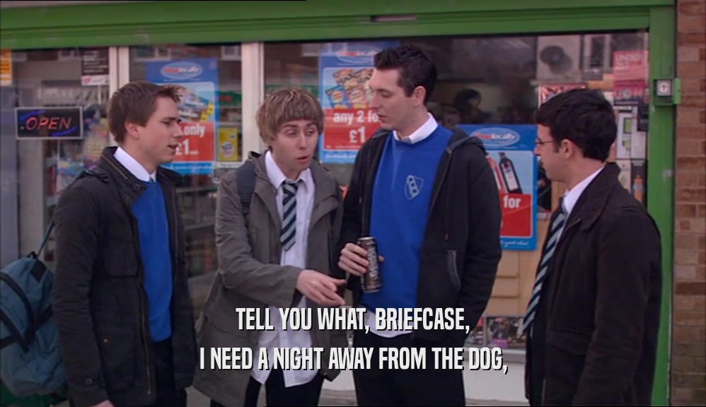 TELL YOU WHAT, BRIEFCASE, I NEED A NIGHT AWAY FROM THE DOG, 