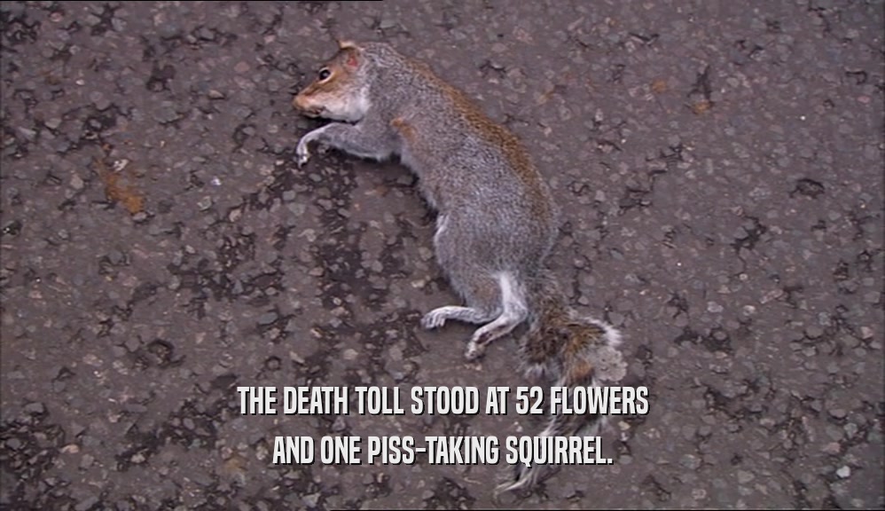 THE DEATH TOLL STOOD AT 52 FLOWERS AND ONE PISS-TAKING SQUIRREL. 