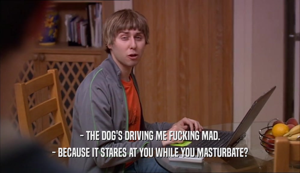 - THE DOG'S DRIVING ME FUCKING MAD. - BECAUSE IT STARES AT YOU WHILE YOU MASTURBATE? 