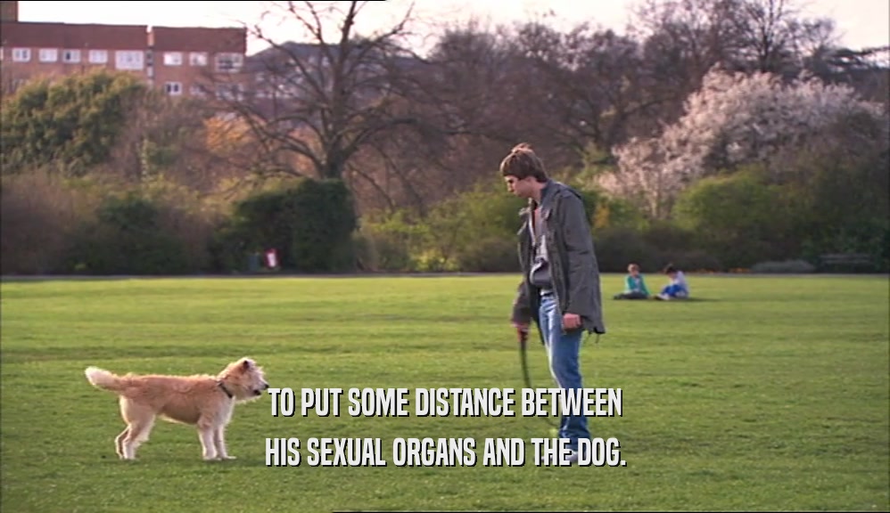TO PUT SOME DISTANCE BETWEEN HIS SEXUAL ORGANS AND THE DOG. 