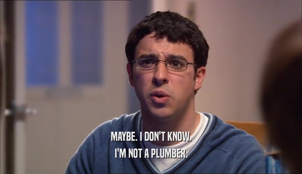 MAYBE. I DON'T KNOW. I'M NOT A PLUMBER. 