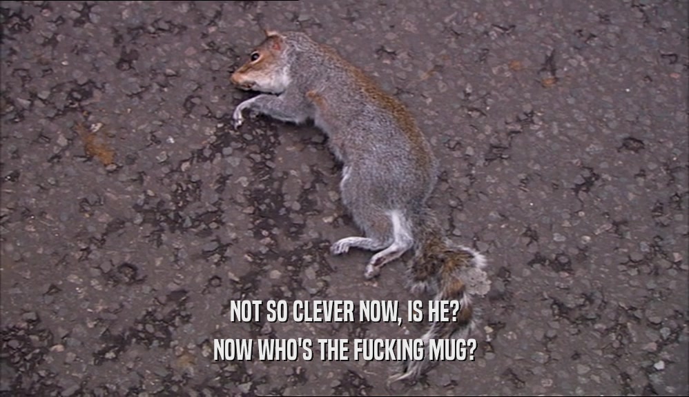 NOT SO CLEVER NOW, IS HE? NOW WHO'S THE FUCKING MUG? 