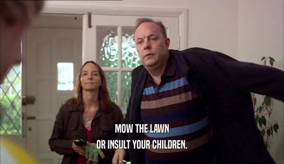 MOW THE LAWN
 OR INSULT YOUR CHILDREN.
 