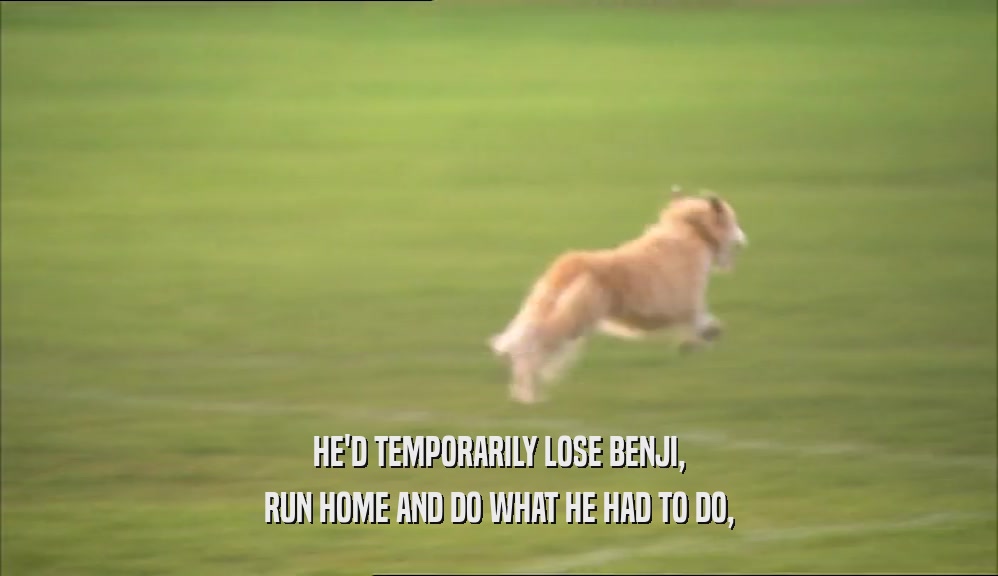HE'D TEMPORARILY LOSE BENJI, RUN HOME AND DO WHAT HE HAD TO DO, 
