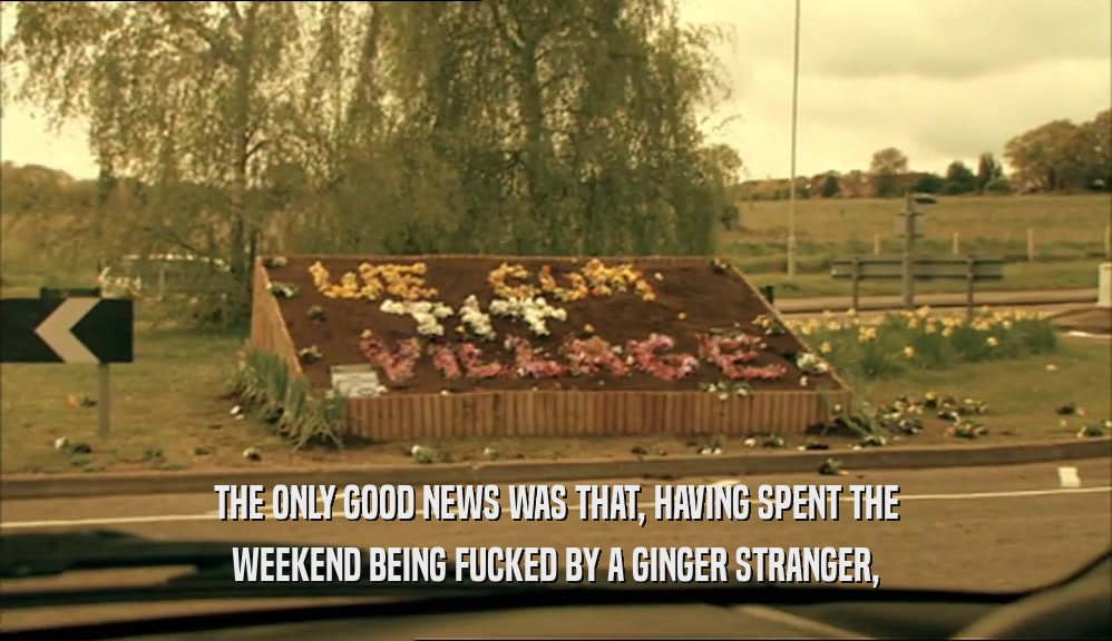 THE ONLY GOOD NEWS WAS THAT, HAVING SPENT THE WEEKEND BEING FUCKED BY A GINGER STRANGER, 