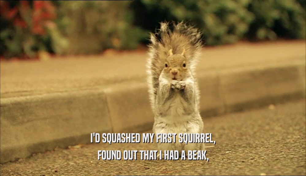 I'D SQUASHED MY FIRST SQUIRREL, FOUND OUT THAT I HAD A BEAK, 