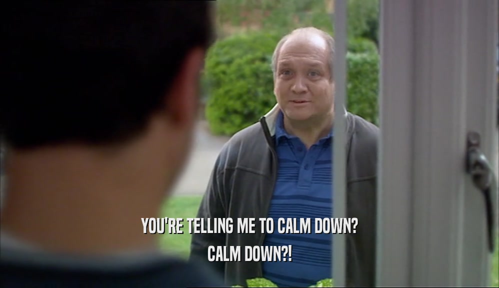 YOU'RE TELLING ME TO CALM DOWN? CALM DOWN?! 