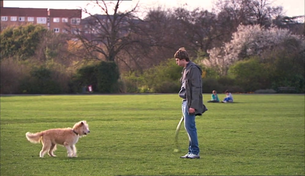 AS NEIL MADE HIMSELF VERY MUCH AT HOME, JAY HAD COME UP WITH A PLAN 