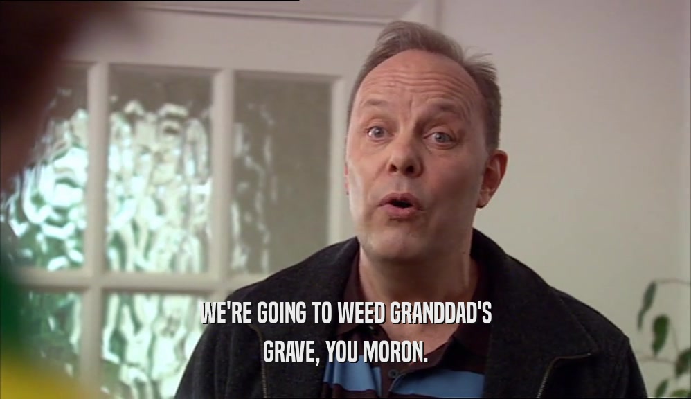 WE'RE GOING TO WEED GRANDDAD'S
 GRAVE, YOU MORON.
 