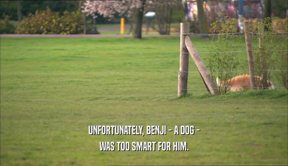 UNFORTUNATELY, BENJI - A DOG - WAS TOO SMART FOR HIM. 