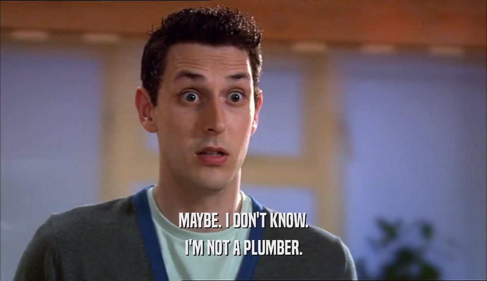 MAYBE. I DON'T KNOW. I'M NOT A PLUMBER. 