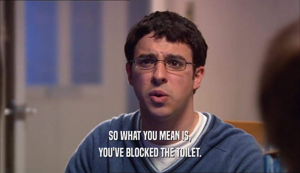 SO WHAT YOU MEAN IS, YOU'VE BLOCKED THE TOILET. 
