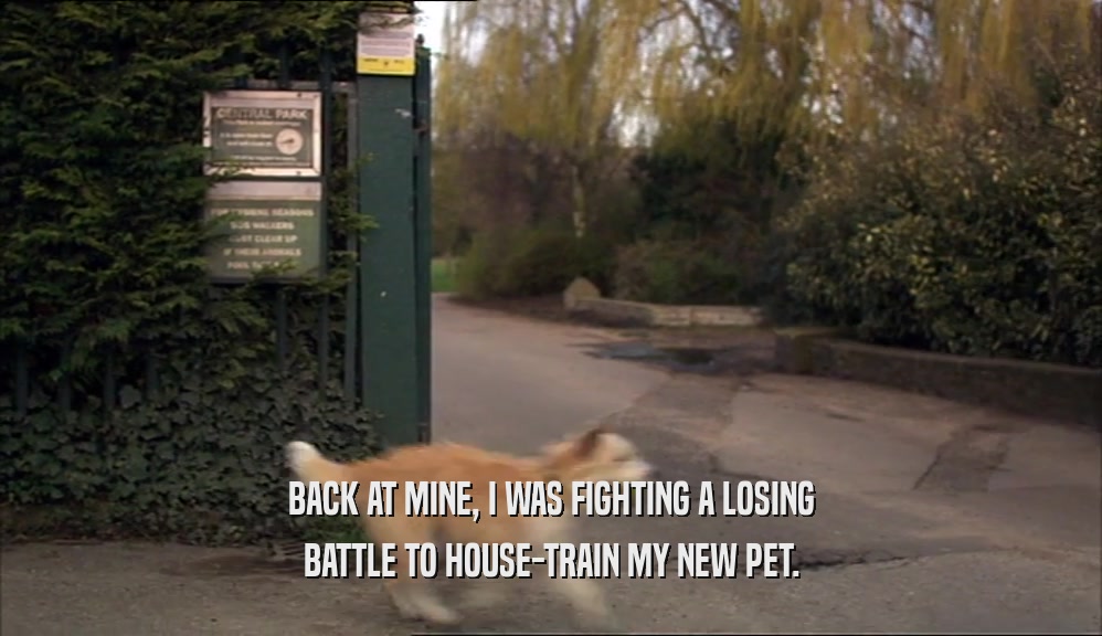 BACK AT MINE, I WAS FIGHTING A LOSING BATTLE TO HOUSE-TRAIN MY NEW PET. 