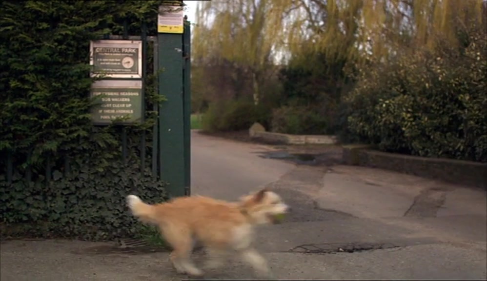 BACK AT MINE, I WAS FIGHTING A LOSING BATTLE TO HOUSE-TRAIN MY NEW PET. 