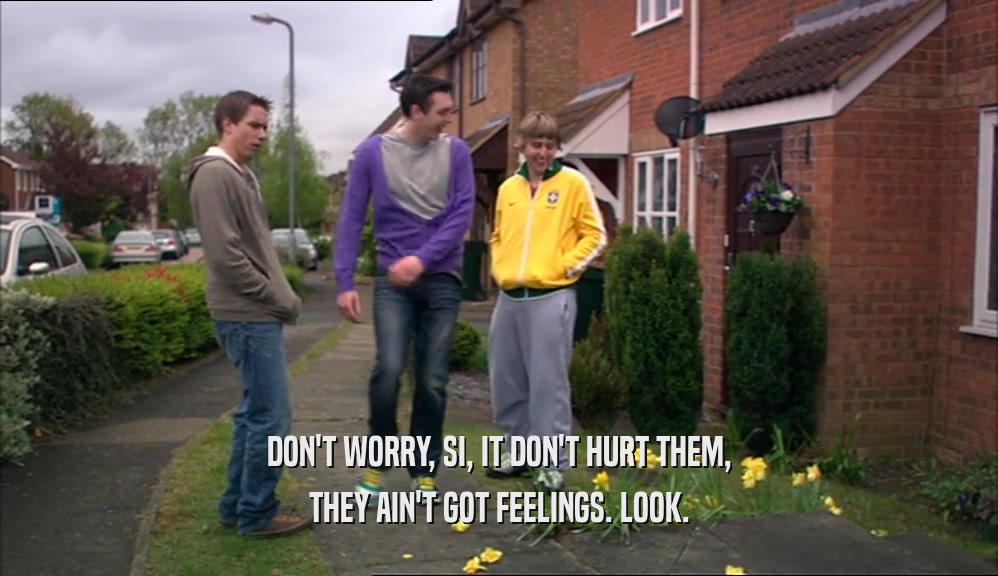 DON'T WORRY, SI, IT DON'T HURT THEM, THEY AIN'T GOT FEELINGS. LOOK. 
