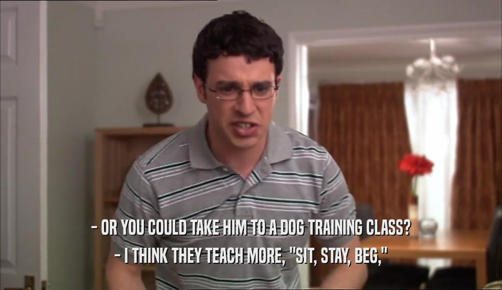 - OR YOU COULD TAKE HIM TO A DOG TRAINING CLASS? - I THINK THEY TEACH MORE, 