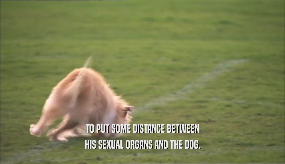 TO PUT SOME DISTANCE BETWEEN HIS SEXUAL ORGANS AND THE DOG. 