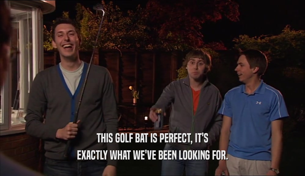THIS GOLF BAT IS PERFECT, IT'S EXACTLY WHAT WE'VE BEEN LOOKING FOR. 