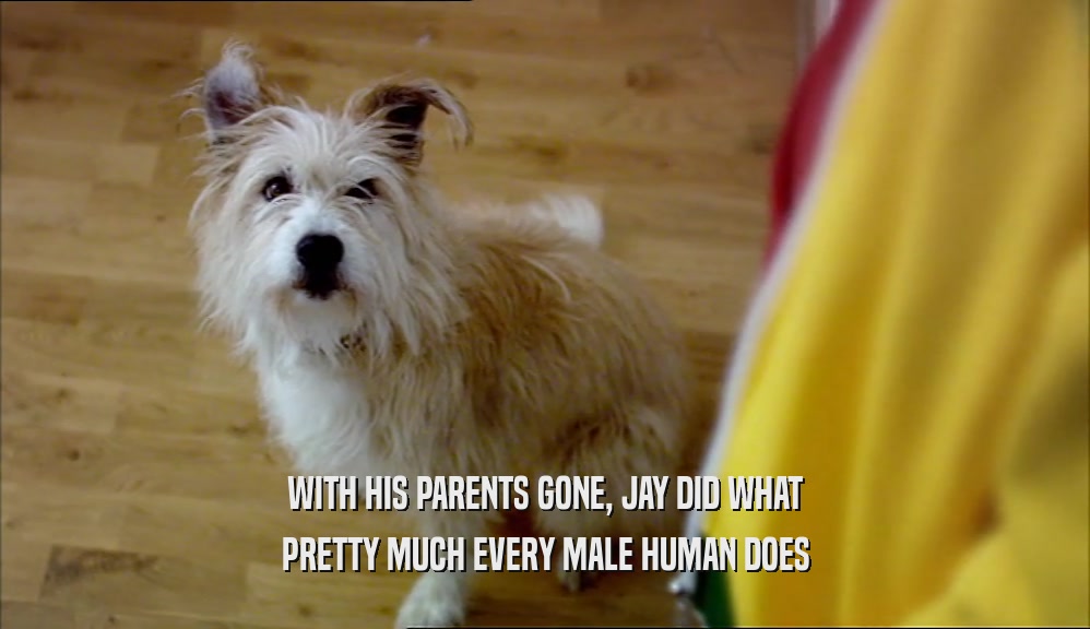 WITH HIS PARENTS GONE, JAY DID WHAT PRETTY MUCH EVERY MALE HUMAN DOES 