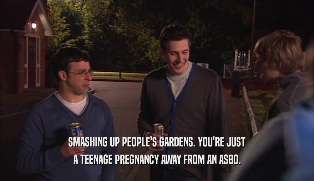 SMASHING UP PEOPLE'S GARDENS. YOU'RE JUST A TEENAGE PREGNANCY AWAY FROM AN ASBO. 