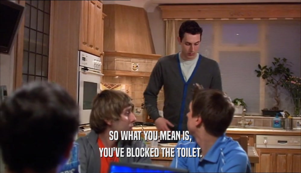 SO WHAT YOU MEAN IS, YOU'VE BLOCKED THE TOILET. 