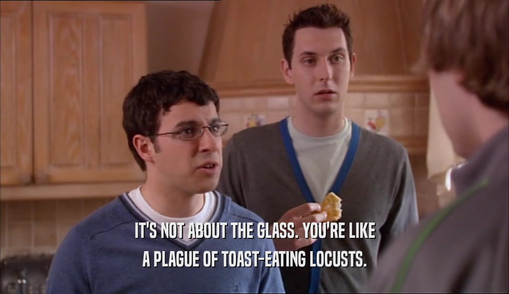 IT'S NOT ABOUT THE GLASS. YOU'RE LIKE
 A PLAGUE OF TOAST-EATING LOCUSTS.
 