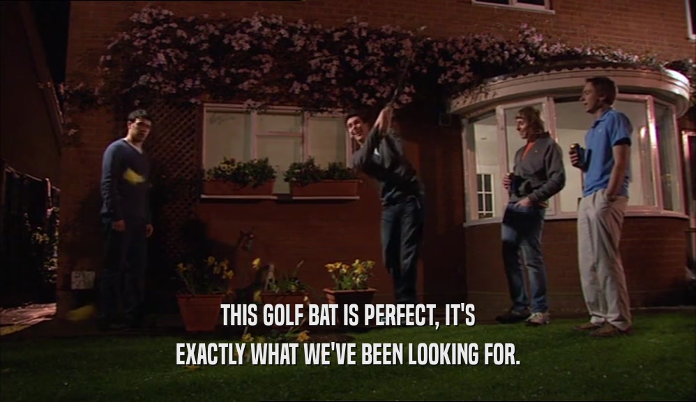 THIS GOLF BAT IS PERFECT, IT'S EXACTLY WHAT WE'VE BEEN LOOKING FOR. 