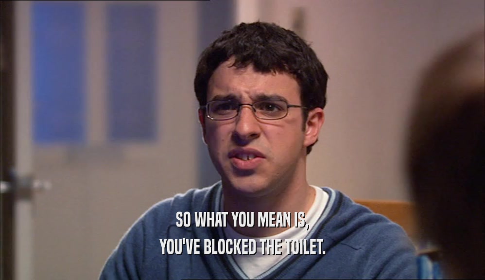 SO WHAT YOU MEAN IS, YOU'VE BLOCKED THE TOILET. 