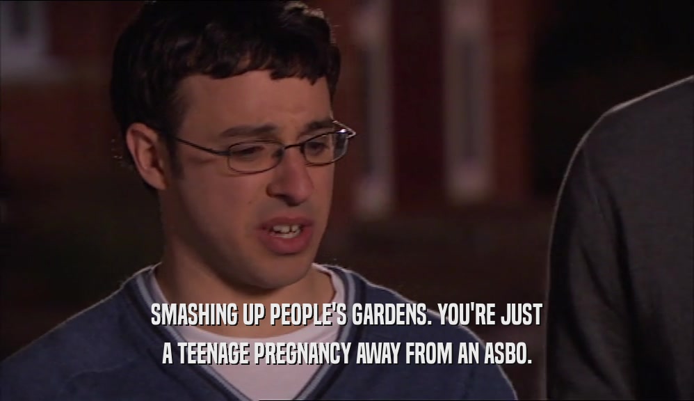 SMASHING UP PEOPLE'S GARDENS. YOU'RE JUST A TEENAGE PREGNANCY AWAY FROM AN ASBO. 