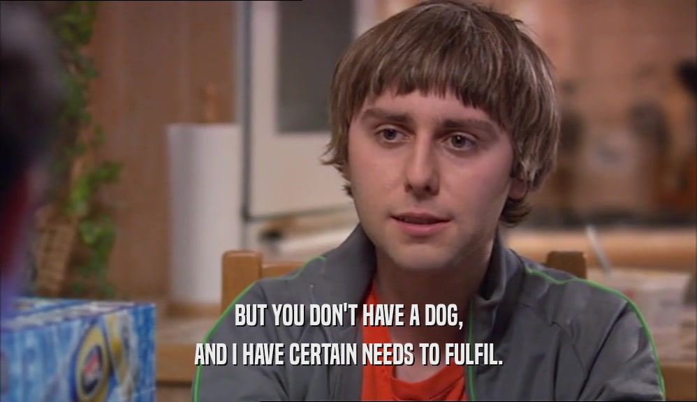 BUT YOU DON'T HAVE A DOG, AND I HAVE CERTAIN NEEDS TO FULFIL. 