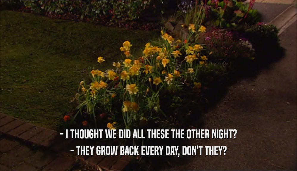 - I THOUGHT WE DID ALL THESE THE OTHER NIGHT? - THEY GROW BACK EVERY DAY, DON'T THEY? 