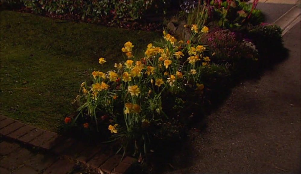 - I THOUGHT WE DID ALL THESE THE OTHER NIGHT? - THEY GROW BACK EVERY DAY, DON'T THEY? 