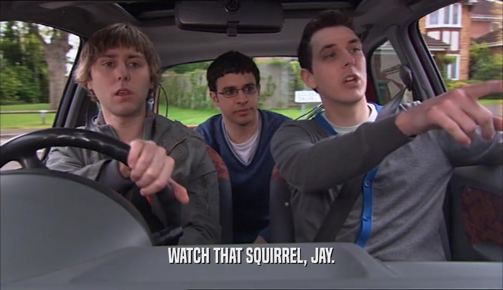 WATCH THAT SQUIRREL, JAY.
  