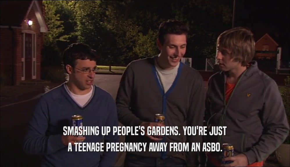 SMASHING UP PEOPLE'S GARDENS. YOU'RE JUST A TEENAGE PREGNANCY AWAY FROM AN ASBO. 