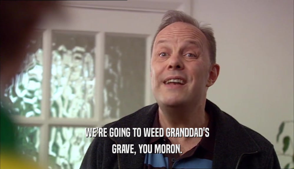 WE'RE GOING TO WEED GRANDDAD'S
 GRAVE, YOU MORON.
 