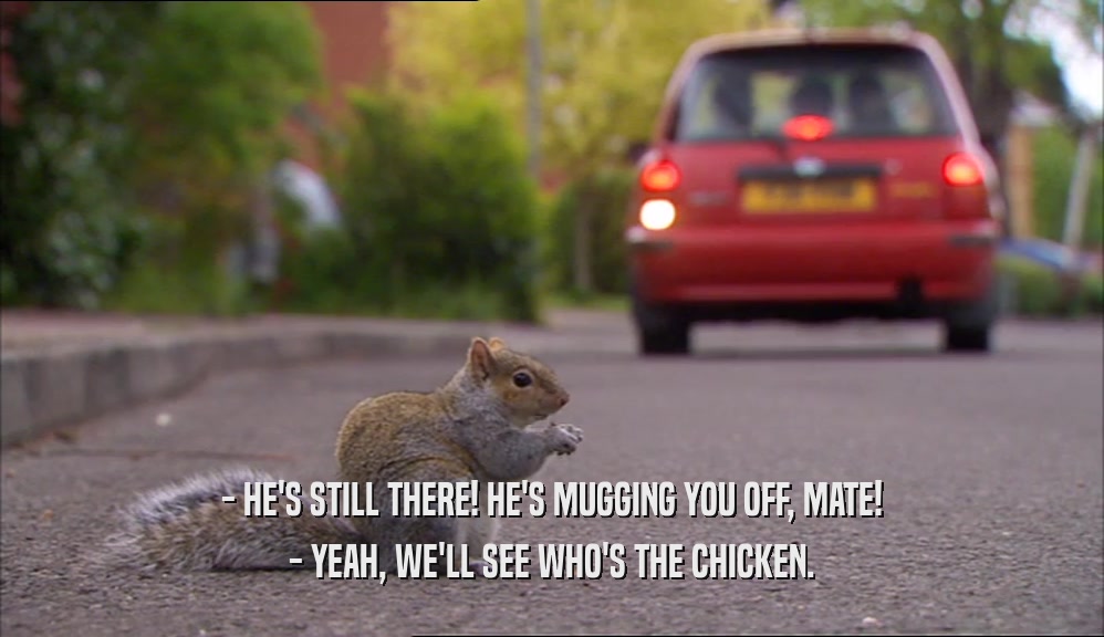 - HE'S STILL THERE! HE'S MUGGING YOU OFF, MATE! - YEAH, WE'LL SEE WHO'S THE CHICKEN. 