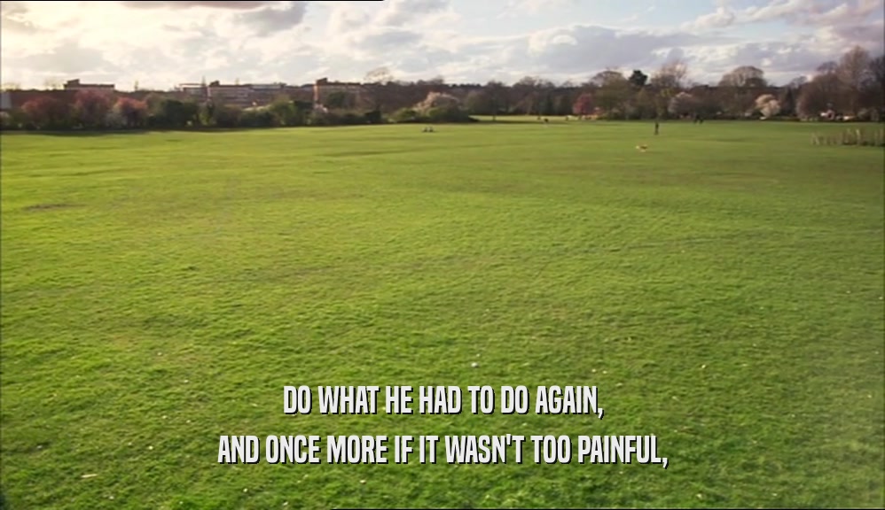 DO WHAT HE HAD TO DO AGAIN, AND ONCE MORE IF IT WASN'T TOO PAINFUL, 