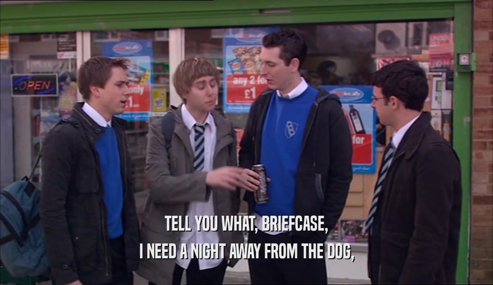TELL YOU WHAT, BRIEFCASE, I NEED A NIGHT AWAY FROM THE DOG, 