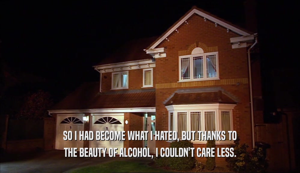SO I HAD BECOME WHAT I HATED, BUT THANKS TO THE BEAUTY OF ALCOHOL, I COULDN'T CARE LESS. 
