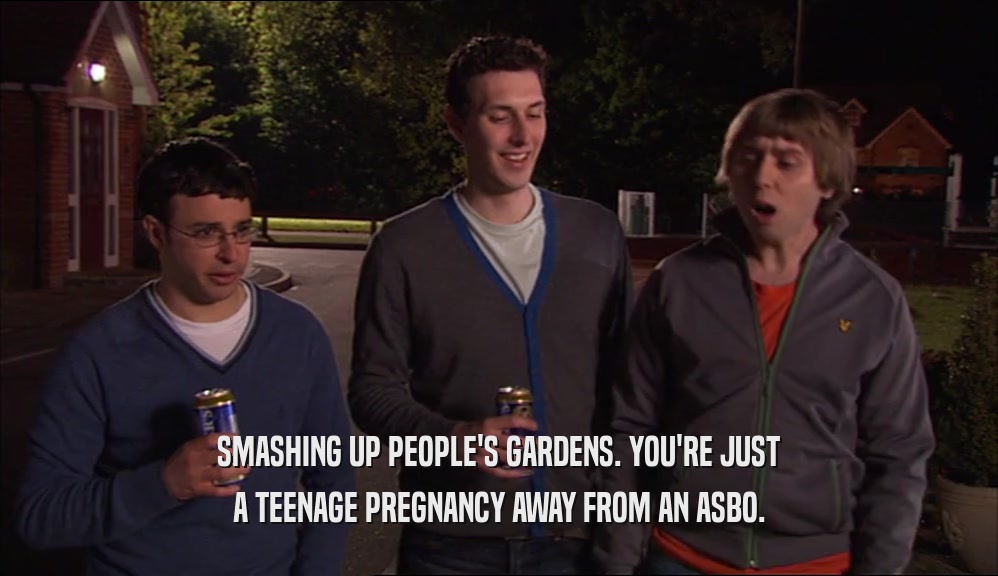 SMASHING UP PEOPLE'S GARDENS. YOU'RE JUST A TEENAGE PREGNANCY AWAY FROM AN ASBO. 