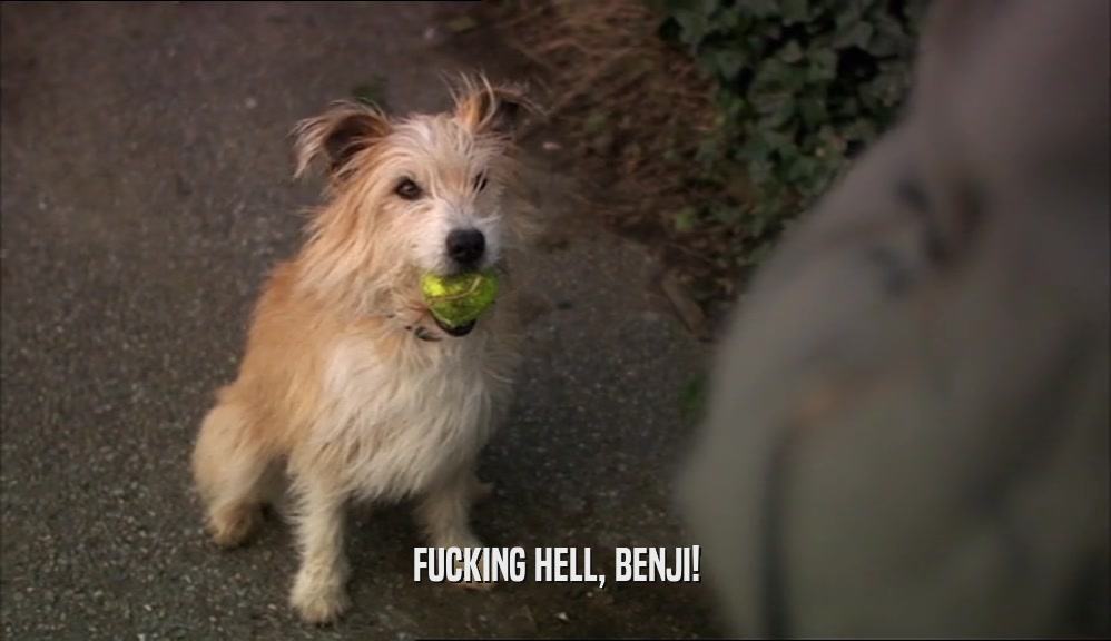 FUCKING HELL, BENJI!  