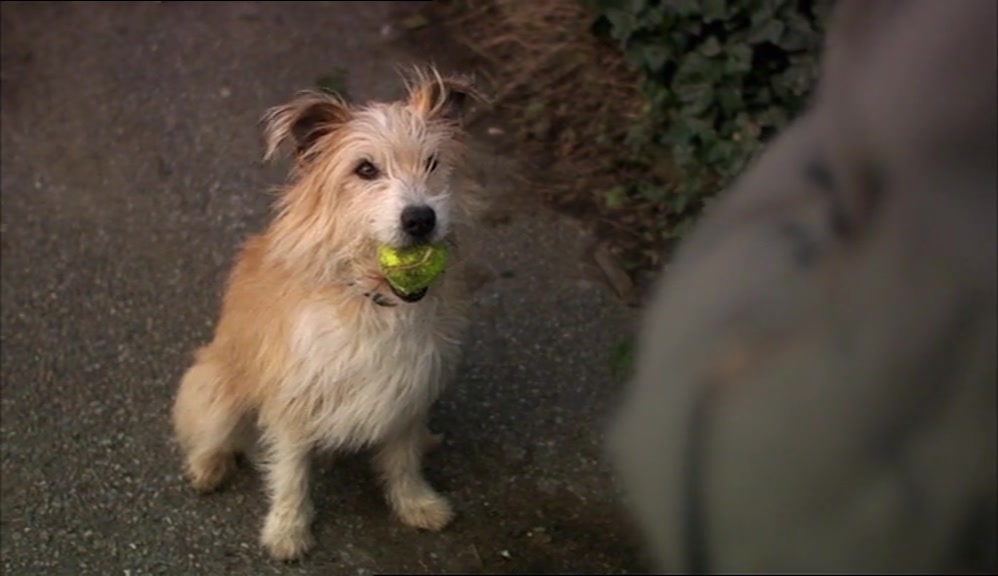 FUCKING HELL, BENJI!  