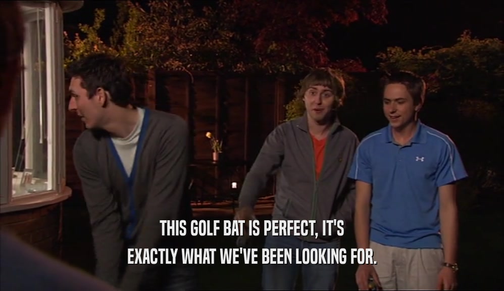 THIS GOLF BAT IS PERFECT, IT'S EXACTLY WHAT WE'VE BEEN LOOKING FOR. 