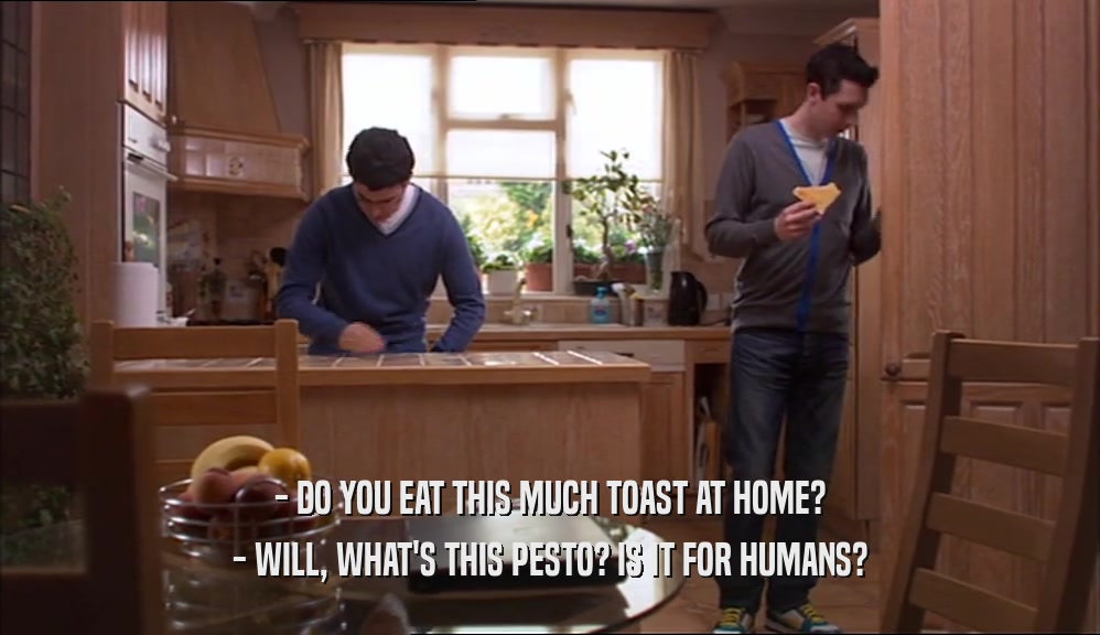 - DO YOU EAT THIS MUCH TOAST AT HOME? - WILL, WHAT'S THIS PESTO? IS IT FOR HUMANS? 