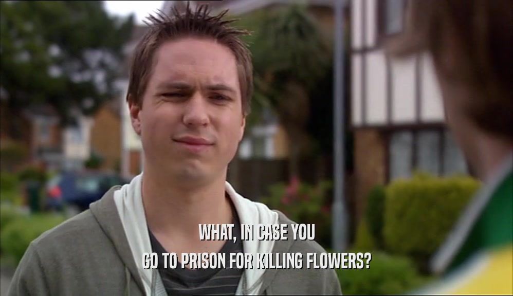 WHAT, IN CASE YOU GO TO PRISON FOR KILLING FLOWERS? 