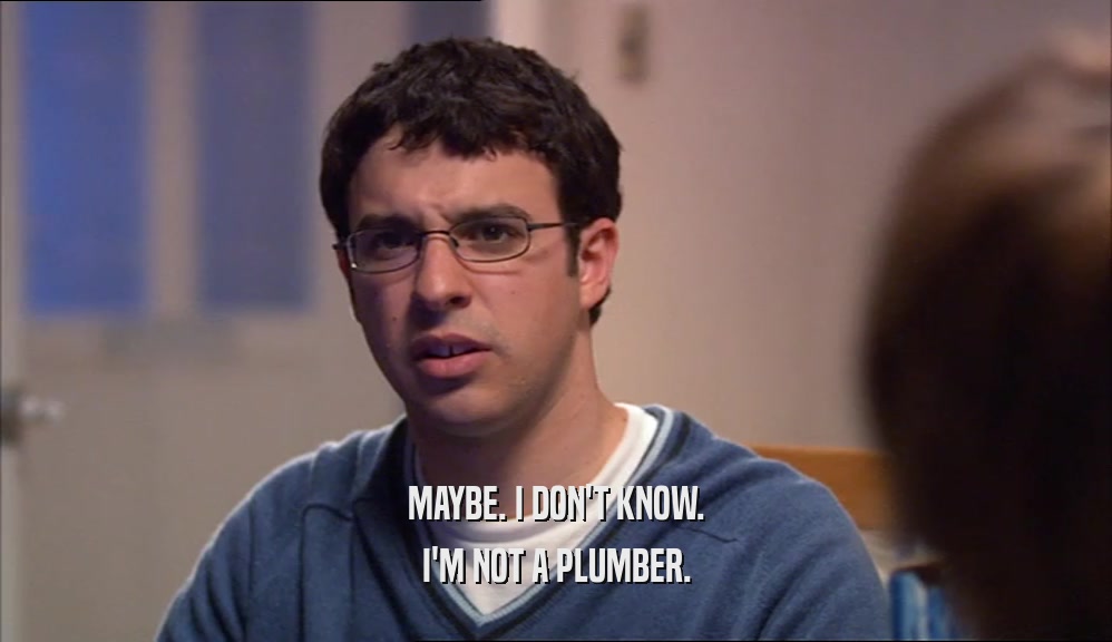 MAYBE. I DON'T KNOW. I'M NOT A PLUMBER. 