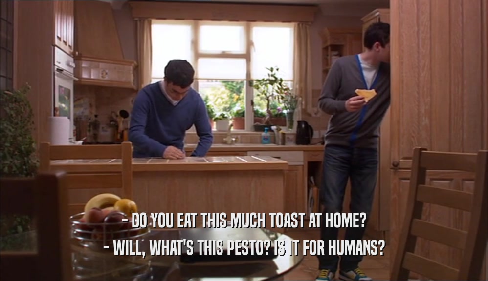 - DO YOU EAT THIS MUCH TOAST AT HOME? - WILL, WHAT'S THIS PESTO? IS IT FOR HUMANS? 