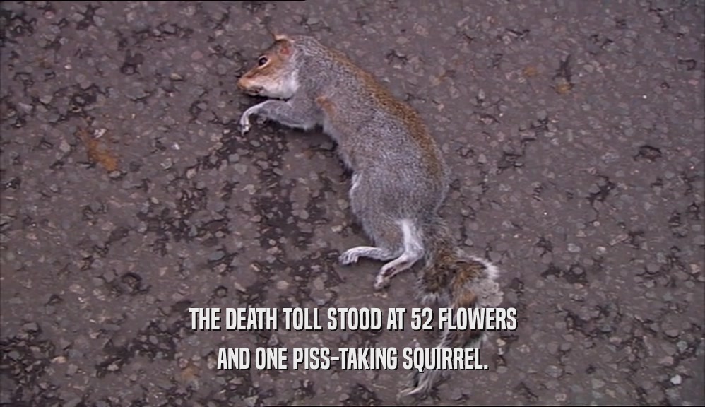 THE DEATH TOLL STOOD AT 52 FLOWERS AND ONE PISS-TAKING SQUIRREL. 