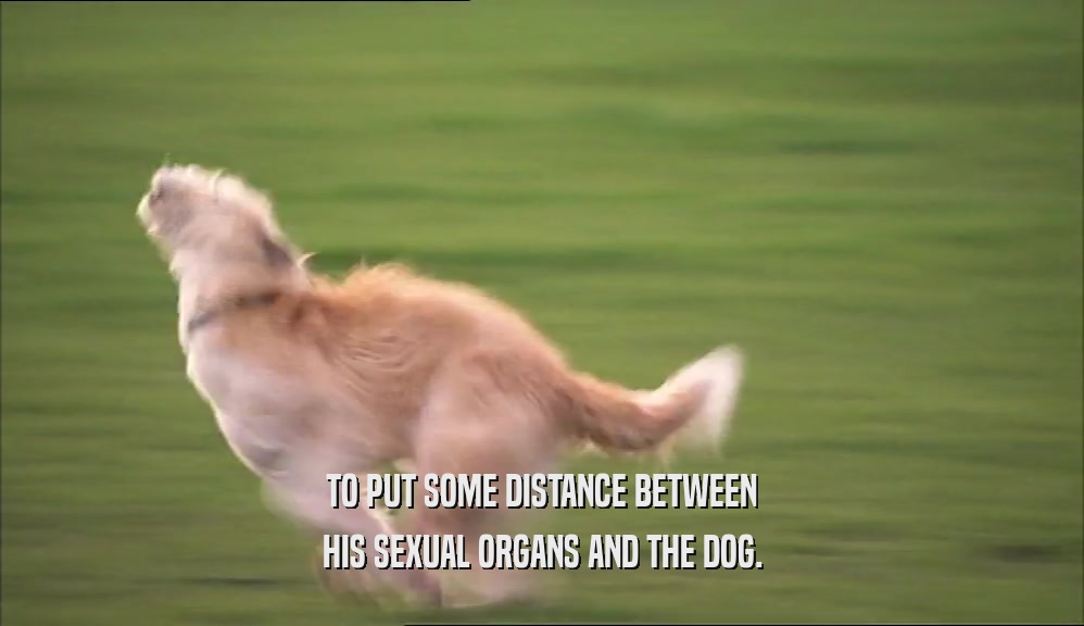 TO PUT SOME DISTANCE BETWEEN HIS SEXUAL ORGANS AND THE DOG. 