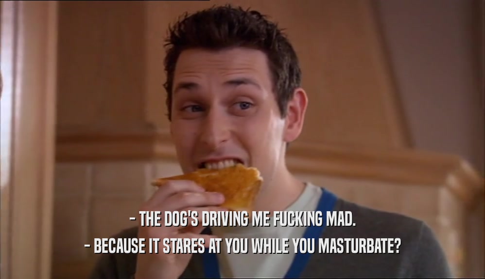 - THE DOG'S DRIVING ME FUCKING MAD. - BECAUSE IT STARES AT YOU WHILE YOU MASTURBATE? 